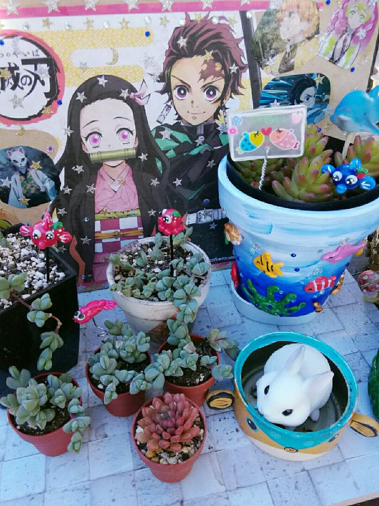 小さな庭の画像 by ピンクパンサーさん | 小さな庭とGSのお友達と❤と多肉植物といつもありがとう♡と多肉大好きとありがとう♡とすてき…♡と感謝とGS映えとGSのみなさんに感謝♡とおうち園芸とかわぃぃ。とトトの日と多肉女子と素敵な出会いに感謝と癒やしの時間とかわいいといやされるとかわいいな♡とサニコさんのハコフグリメ缶