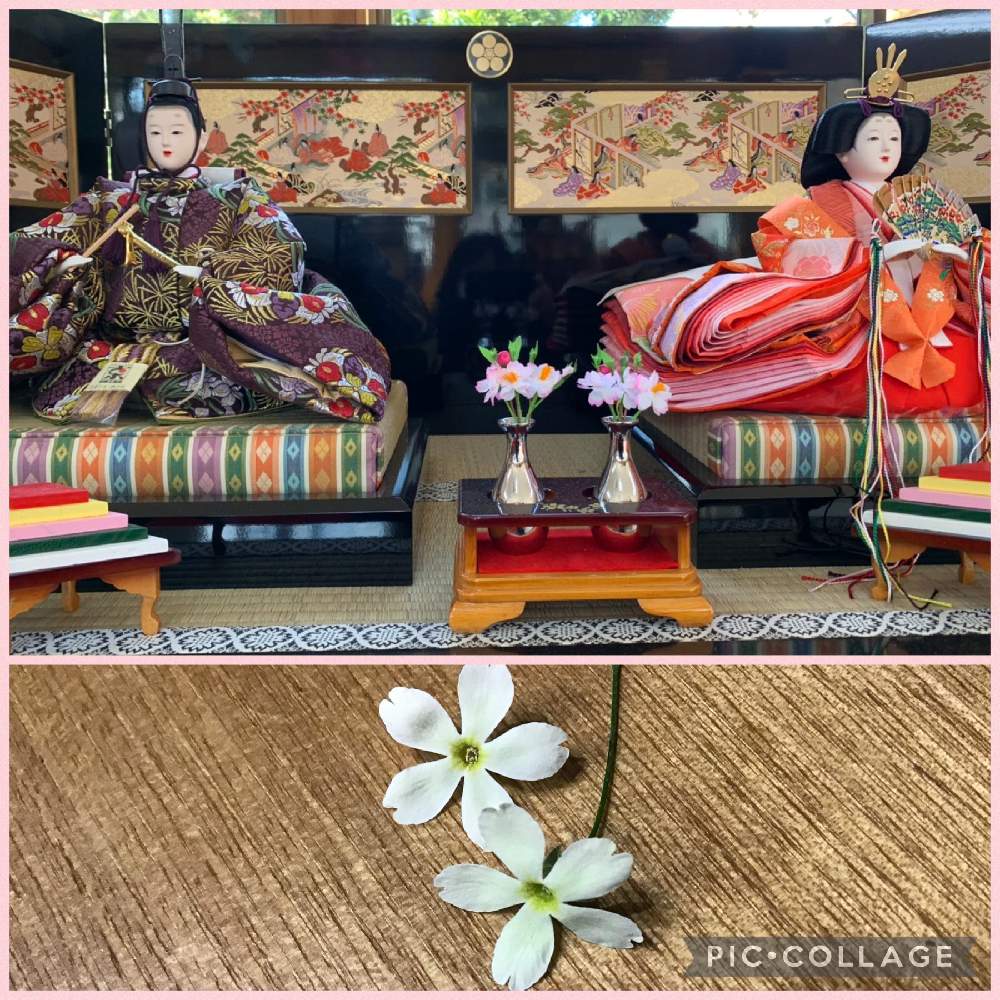 部屋の画像 by Hi〜さん | 部屋とキュンキュン乙女倶楽部と森のおひな祭りとおひなさまとチーム愛知とキュンキュン乙女No.291