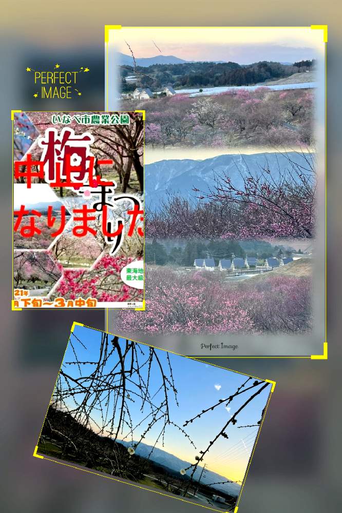 の画像 by 世津ちゃんさん | いなべ市といなべ梅林公園とHPより