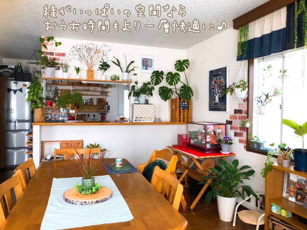 部屋の画像 by 森Café さん | 部屋とモンステラとドラセナとポトスとカポックと金のなる木と孔雀サボテンとファイヤーボールとPeace Lily とフィカス・ジャンボリーフとシッサス・エレンダニカとグリーンのある暮らしとボタニカルカフェと今日も自分らしくと植物に囲まれ隊とコーディネート自慢!リビング・ダイニングに合う大きめ観葉植物とカフェ風インテリアと自分に出来ることとおうちカフェと都会より自然とインテリアグリーン