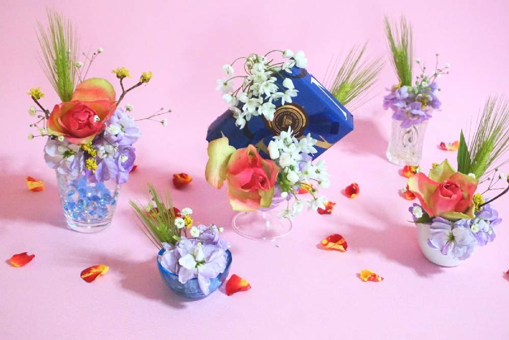 部屋の画像 by 野ニンさん | 部屋と令和最初の植物とGSでお買い物と出版とお気に入りの器や花瓶と植物とGS映えとGreenSnapmarcheと花のある暮らしと#greensnapとGREEN UP!