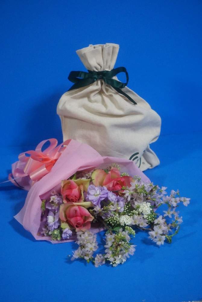 部屋の画像 by 野ニンさん | 部屋とGSでお買い物と出版とGS映えとGreenSnapmarcheと花のある暮らしと#greensnapとGREEN UP!とコーディネート自慢!リビング・ダイニングに合う大きめ観葉植物