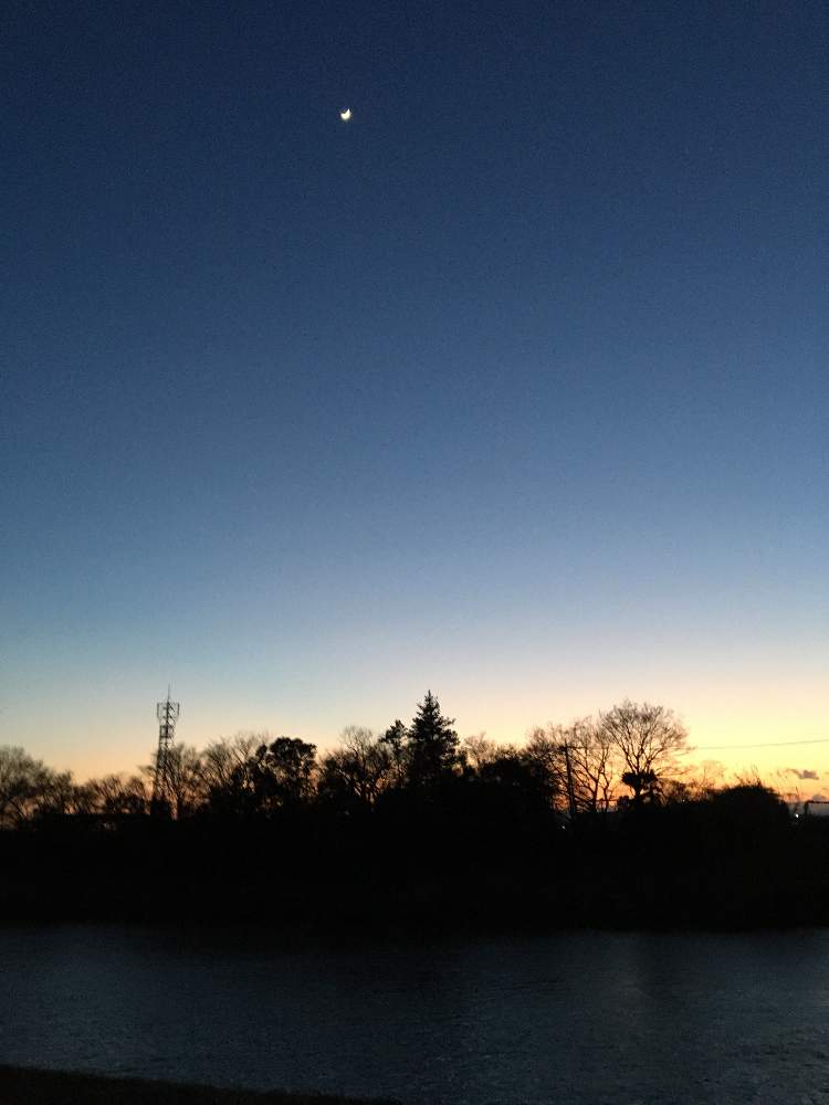 お出かけ先の画像 by クサガメかめこさん | お出かけ先と夕焼けと土手と三日月と美しい風景