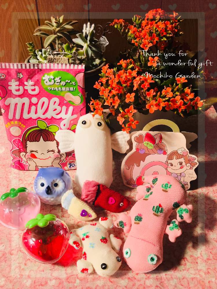 部屋の画像 by さくら餅子さん | 部屋とカランコエと多肉植物 寄せ植えと素敵便と繋がりに感謝✨と里親メンバー