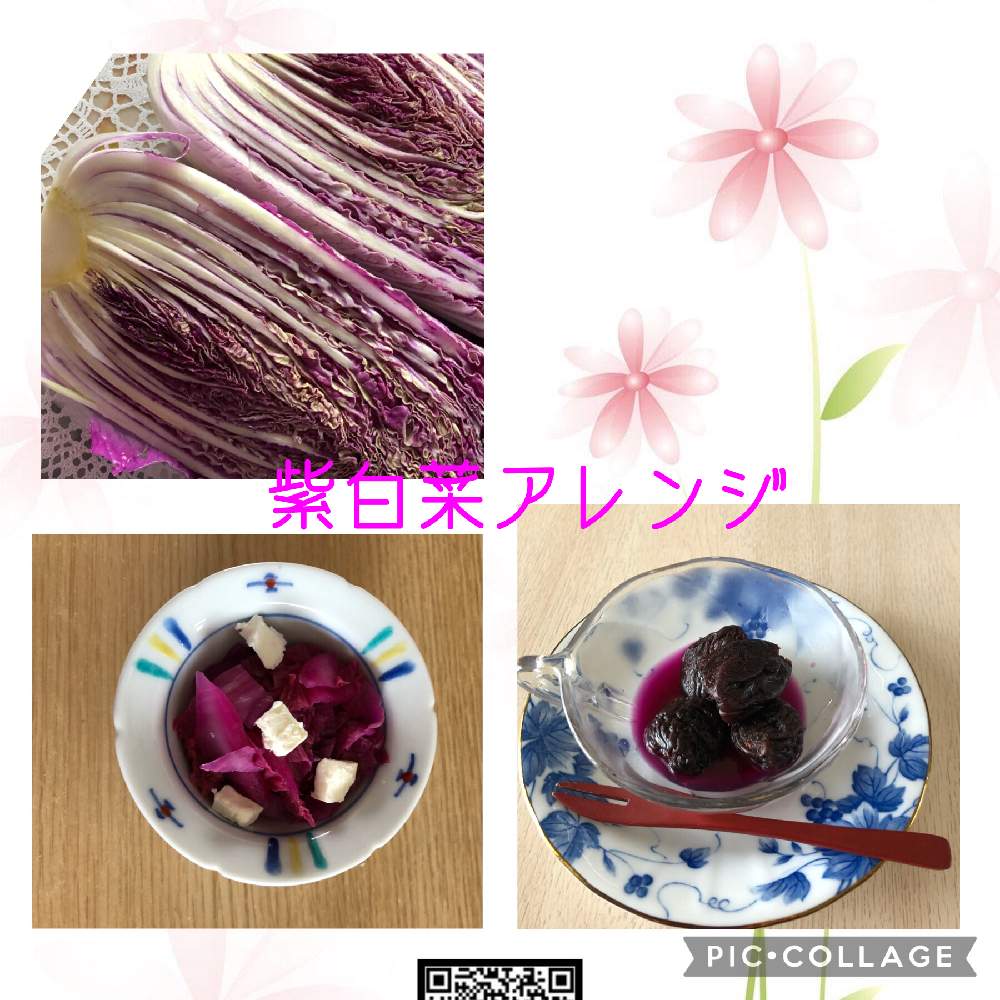 部屋の画像 by チィさん | 部屋と自家菜園と富山支部とお家時間♬と✨紫白菜✨と繋がりに感謝✨