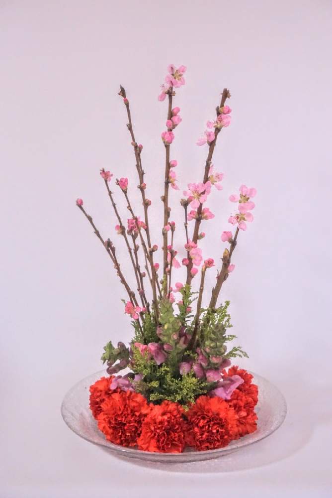 部屋の画像 by 野ニンさん | 部屋と令和最初の植物とGSでお買い物と出版とお気に入りの器や花瓶と植物とGS映えとGreenSnapmarcheと花のある暮らしと#greensnapとGREEN UP!