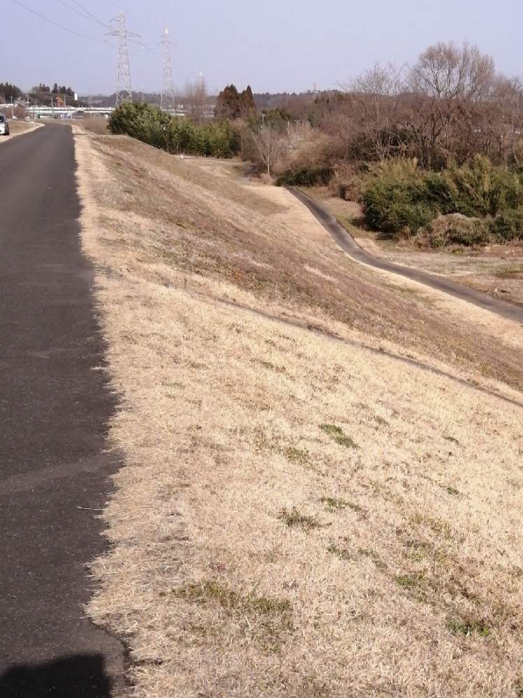 お出かけ先の画像 by 風の駅さん | お出かけ先とぶらり電動チャリと土曜の土手の日と単色伯爵