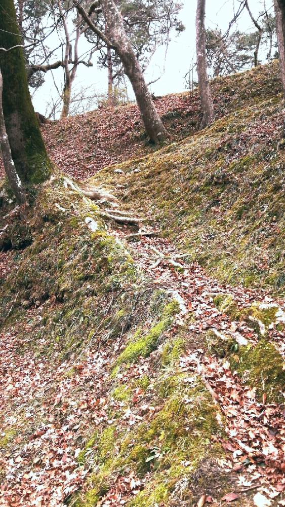 お出かけ先の画像 by 風の駅さん | お出かけ先と苔 こけと苔真下(コケました)ときのこの里山と家から徒歩範囲と土曜の土手の日と単色伯爵