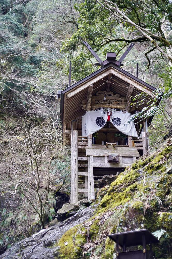 お出かけ先の画像 by ironihsoyさん | お出かけ先と山の木々。と天岩戸神社。と登る鎖。とaus Jena DDR T 50mm F2.8とそうだ 京都、行こう。とそうだ 県、跨ごう。