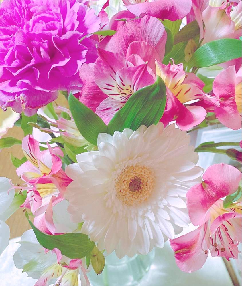 部屋の画像 by kaoriさん | 部屋とアルストロメリアとカーネーションとガーベラとピンクの花と花のある生活と綺麗と癒されるとかわいいと白い花と緑のある生活
