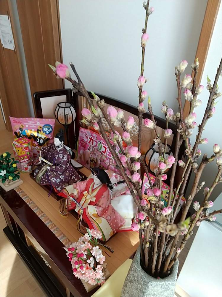 部屋の画像 by ふうふうさん | 部屋と桃の花