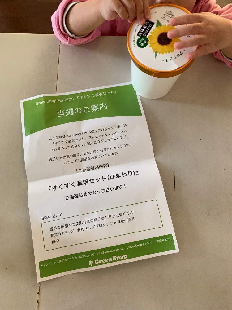 の画像 by ぽぉさん | GSforキッズとGSキッズプロジェクトとすくすく栽培セットとPRと#親子園芸