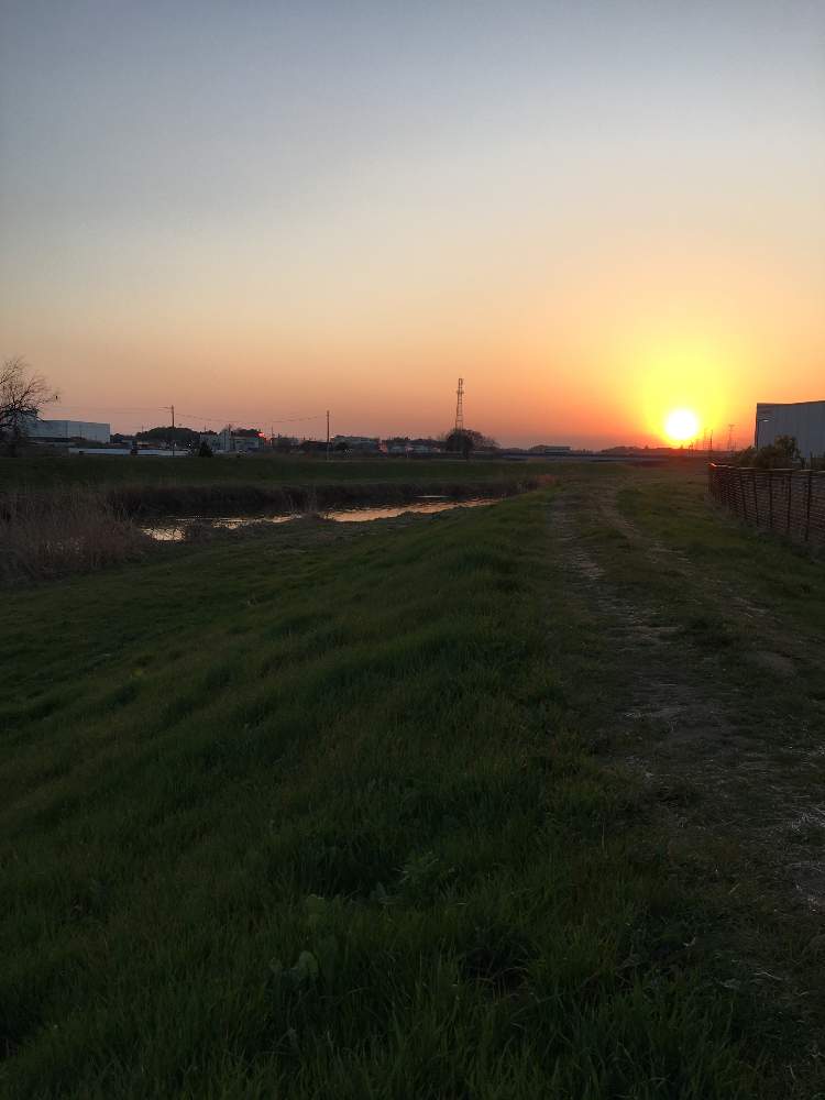 お出かけ先の画像 by クサガメかめこさん | お出かけ先と夕日