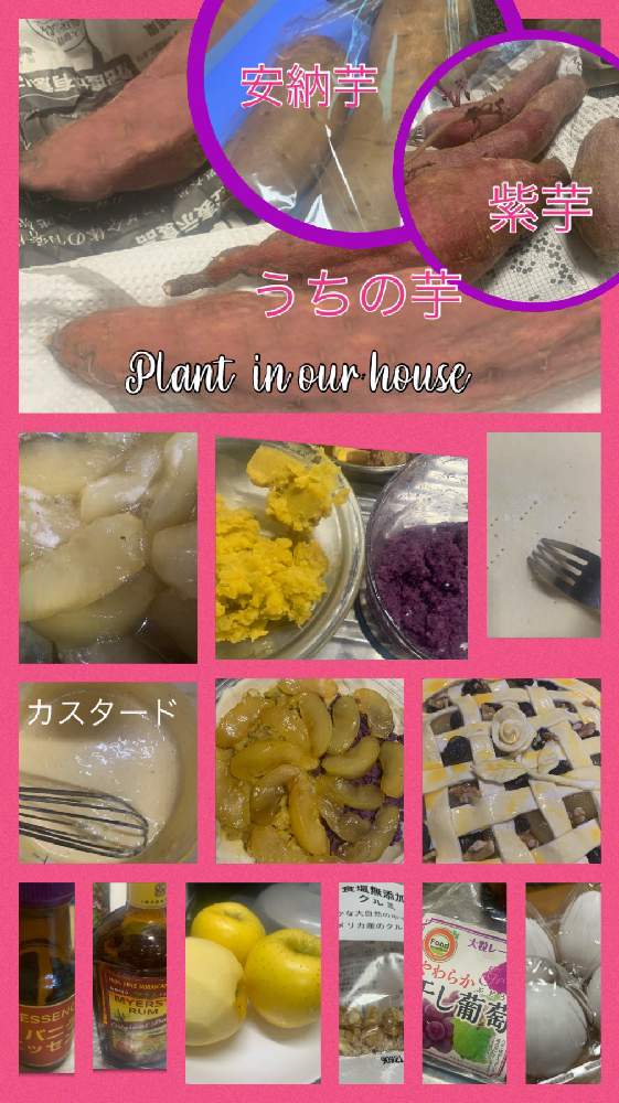 畑の画像 by kane flowerさん | 畑とサツマイモと家庭菜園とK.F cookingと私畑と埼玉県と自家製野菜と無農薬有機栽培と無農薬 無化学肥料栽培とK.F家庭菜園