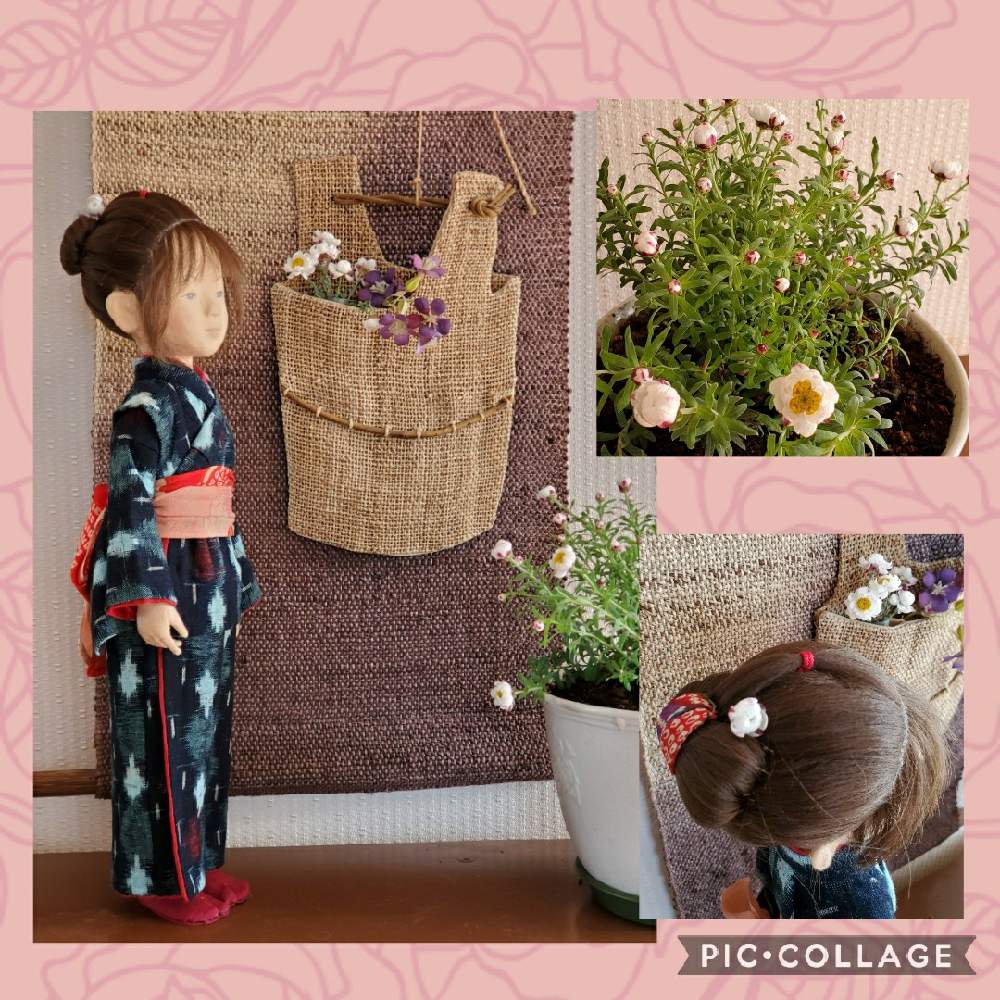 の画像 by こたさん | 花かんざしとお花に感謝とドライフラワーとありがとう♡と祈りと森のおひな祭りと小さな幸せと植物と人形
