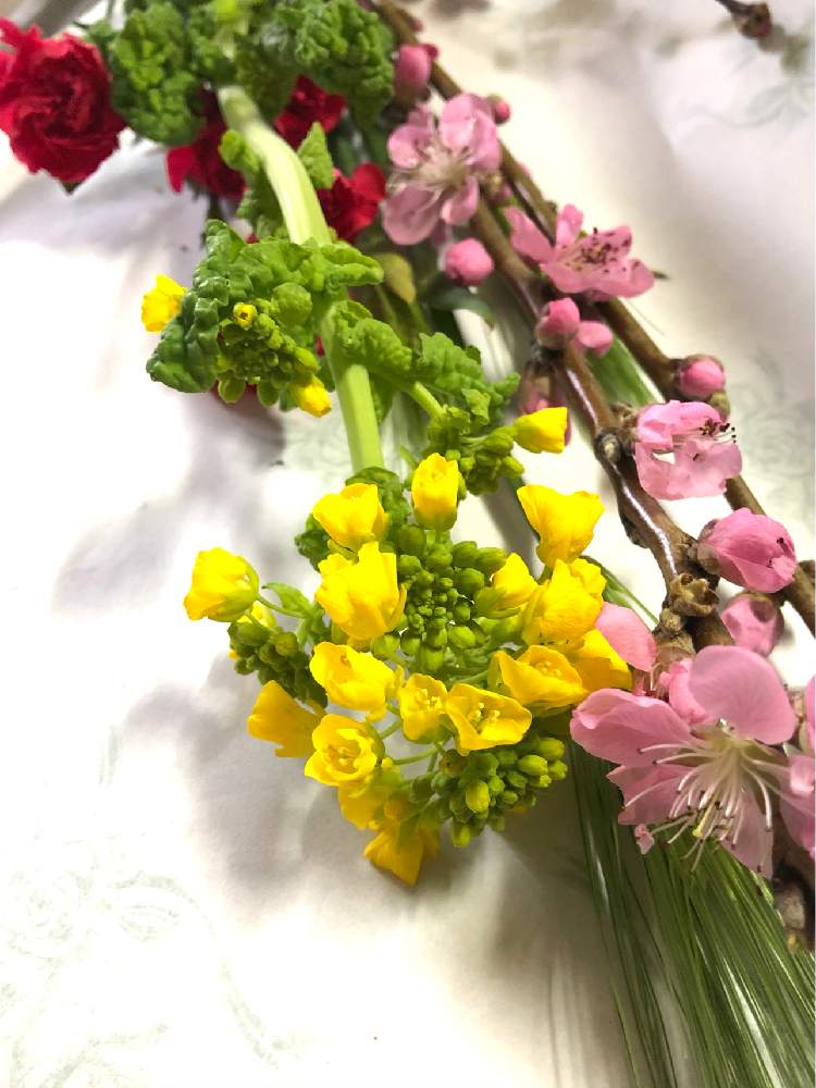 の画像 by 道端 りりりさん | 買い足したお花