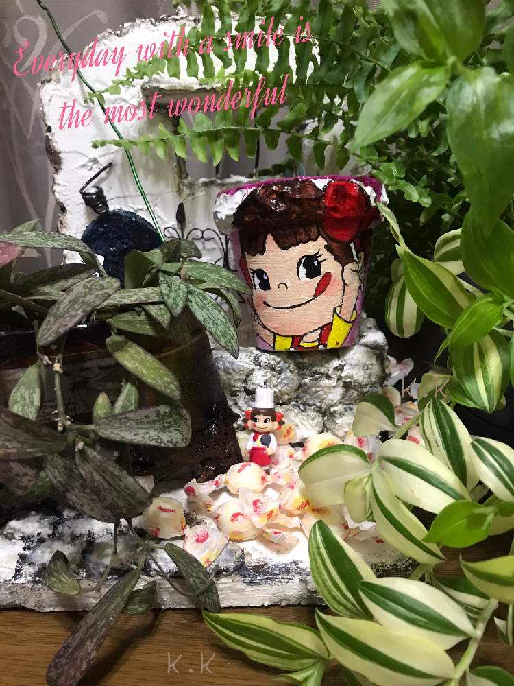 部屋の画像 by K.Kさん | 部屋とホヤ・シギラティスと多肉植物とトワさんのリメ鉢とペコちゃん祭りとトワさんの作品とGSミニモニ。とトラディスカンチア とGSミニモニ。No.12とシダはいいぞとシダ植物とシダ愛好会と斑入り葉とGS植物うちなーぐち会