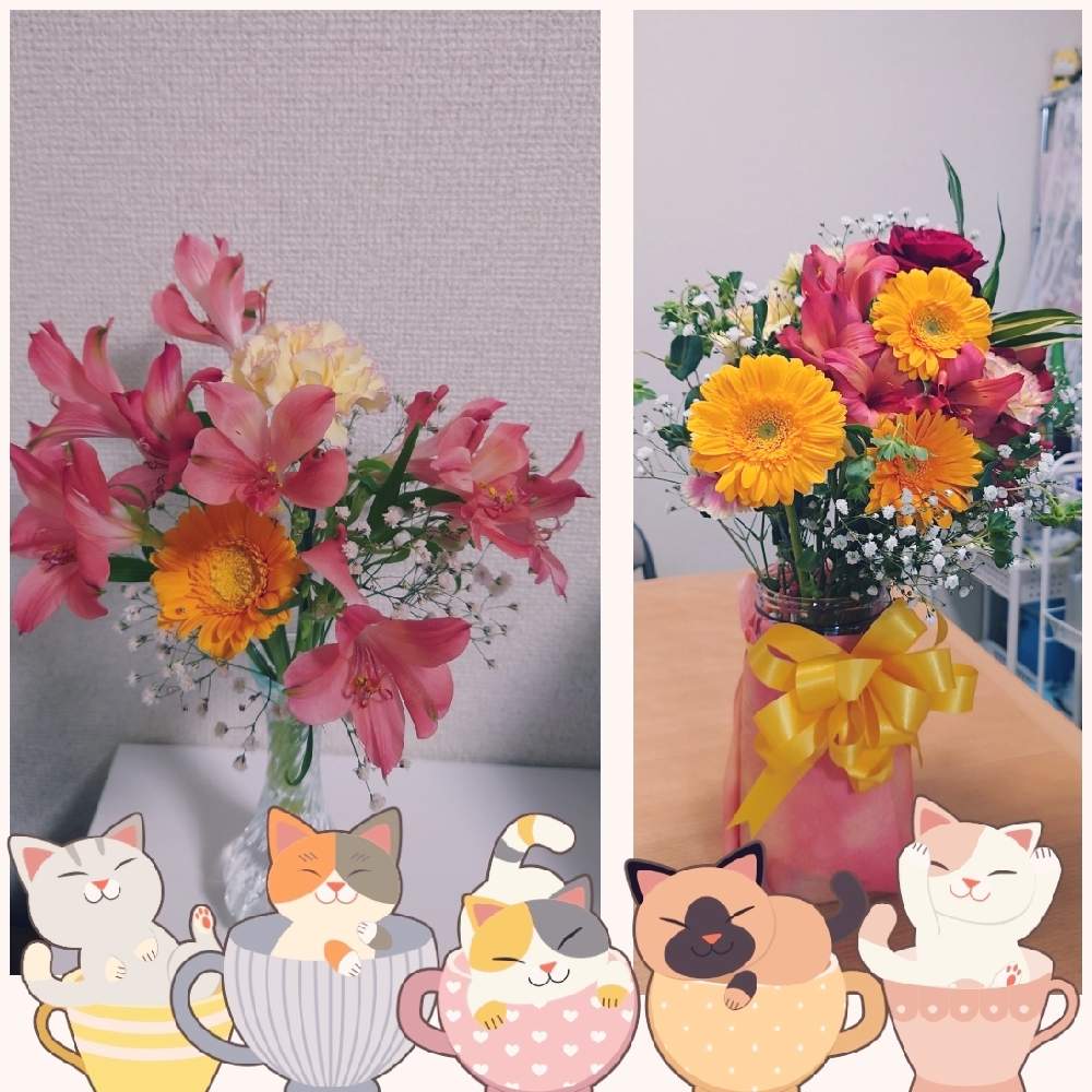 部屋の画像 by ゆち吉さん | 部屋とガーベラ♪とカーネーション♡と私の癒しとおはなとお花の魅力と花の癒しとビタミンカラーと植物女子と花のある暮らしとお心遣いと植物なしには考えられないと行きつけの花屋さん