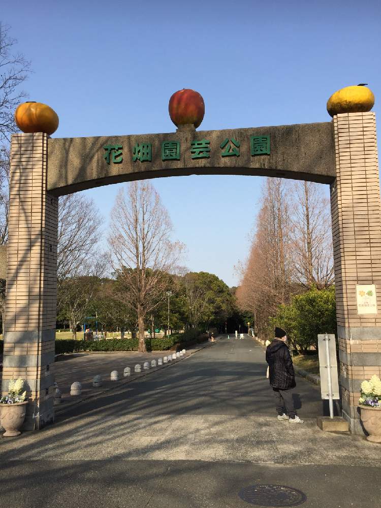 お出かけ先の画像 by amamaさん | お出かけ先とメタセコイアと花畑園芸公園と2102