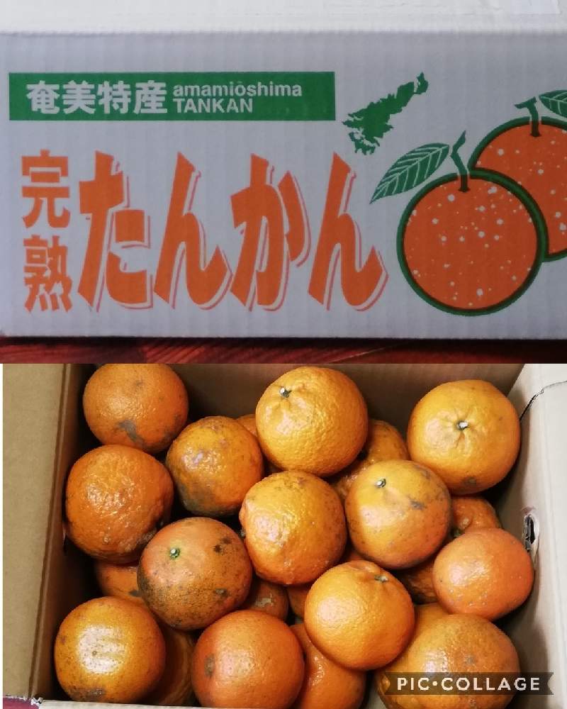 部屋の画像 by あまのじゃくさん | 部屋と友達に感謝とタンカンの 届き物とすごく甘いと奄美大島名産