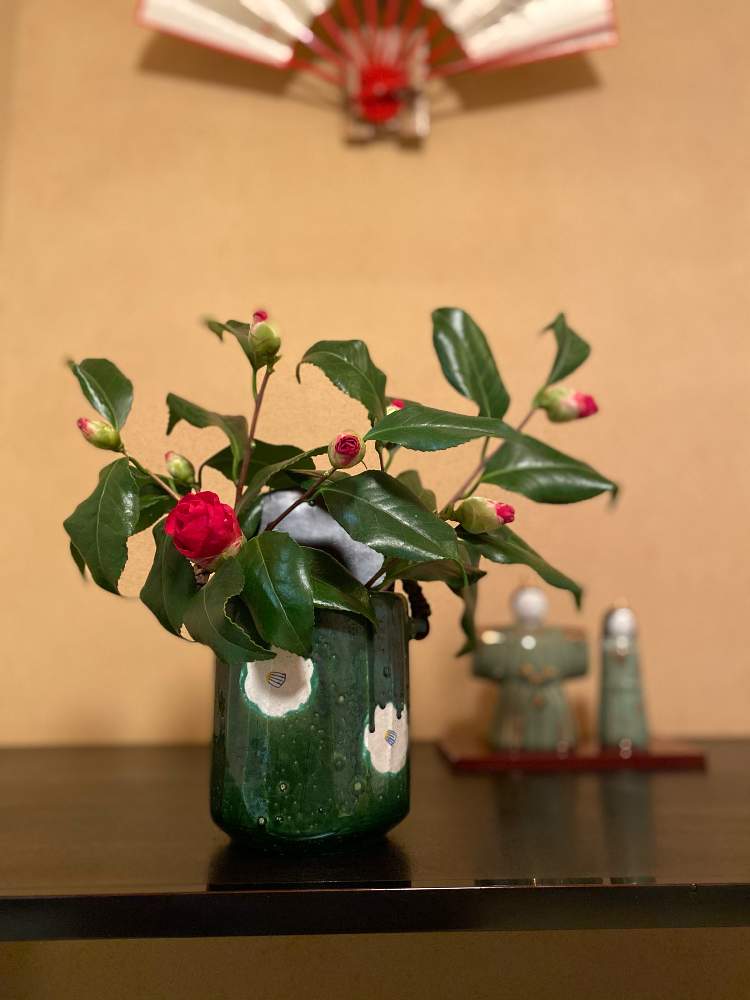 和室の画像 by makidonさん | 和室と花の蕾と金曜日の蕾たちとお気に入りの器や花瓶と植物と花と書と花のある暮らしと雛人形とお雛様