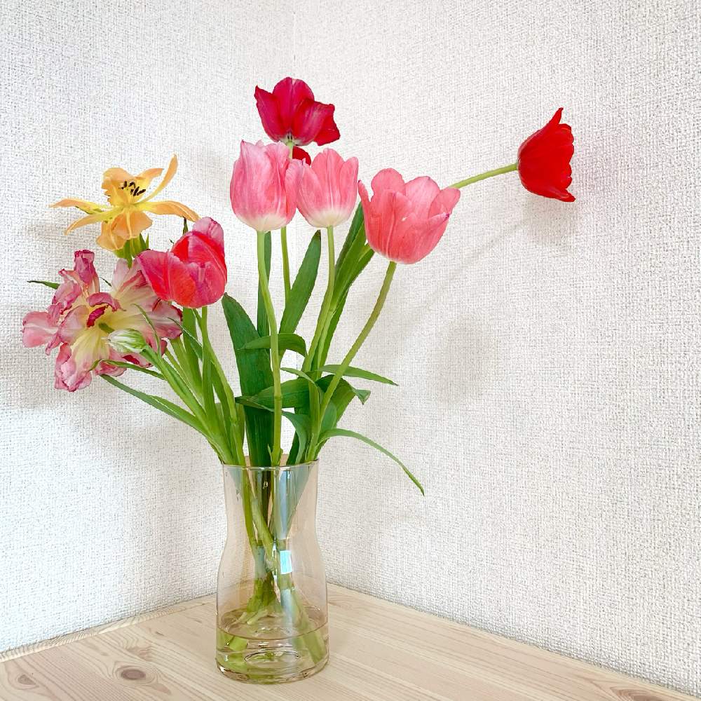 部屋の画像 by 娘っ子さん | 部屋とチューリップと一重咲きとflowersと花瓶と チューリップと八重咲きと花のある暮らしと切り花