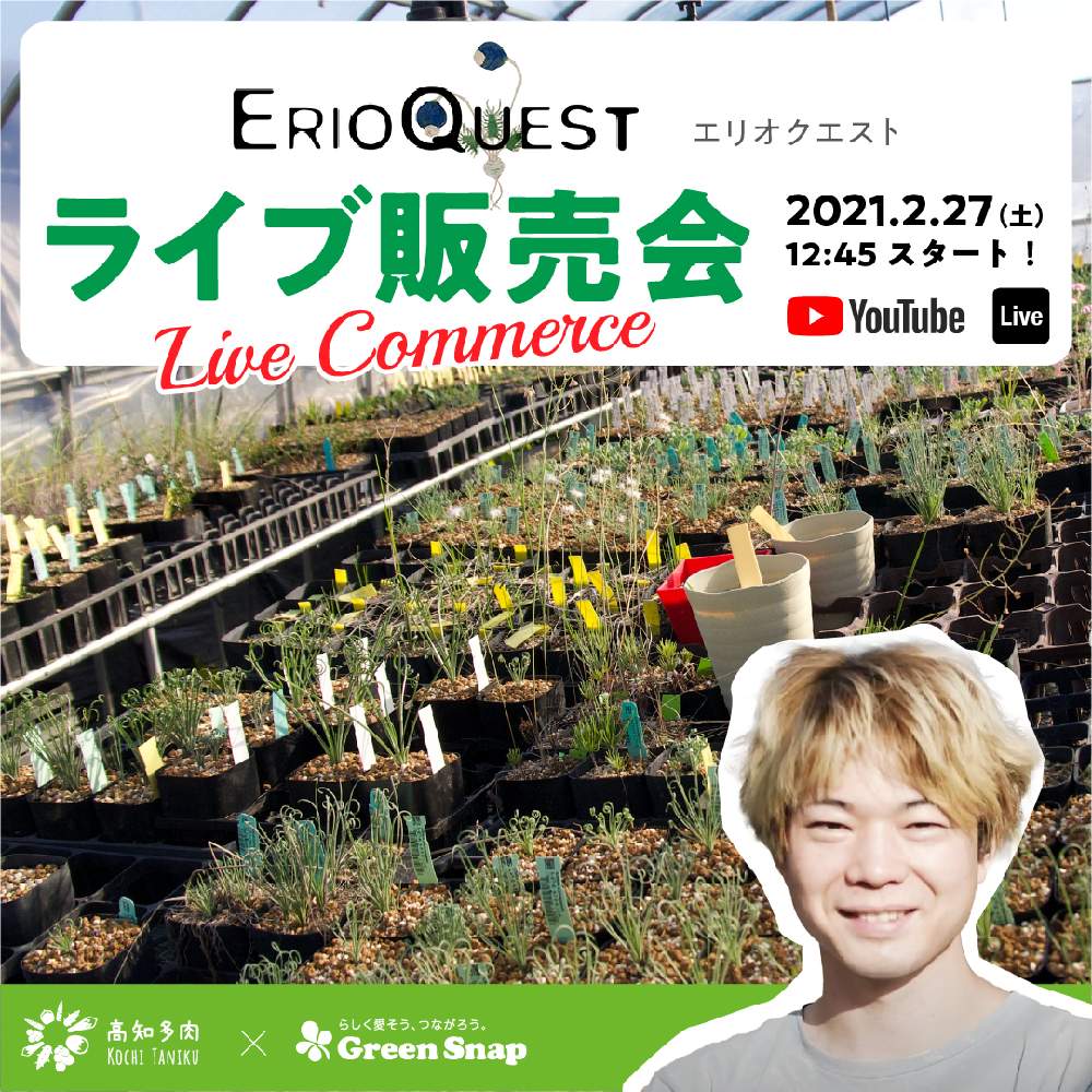 部屋の画像 by GreenSnapSTORE公式さん | 部屋と多肉植物いろいろと多肉植物と多肉男子とみどりのある暮らしと高知県と多肉一年目とおすすめ商品と多肉植物生産者さんとGreenSnapSTOREと高知多肉とおうち園芸とケープバルブ