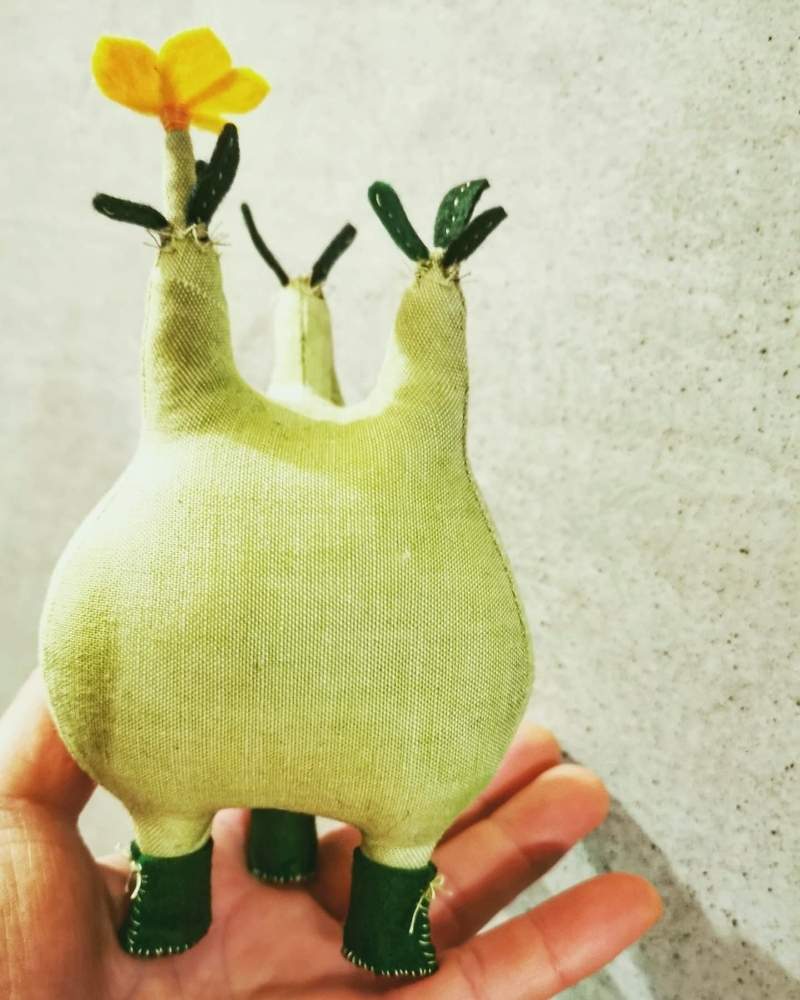 インテリアの画像 by poporopoooさん | インテリアと多肉植物とパキポディウム属と観葉植物と塊根植物のある暮らしと塊根と多肉大好きとぬいぐるみと塊根大好きとコーデックスとCaudexと#パキポディウム•グラキリスと塊根まん・ベアルートと塊根植物とハンドメイドと可愛いとグリーン雑貨と珍奇植物と花のある暮らしと緑のある生活とzooo plants