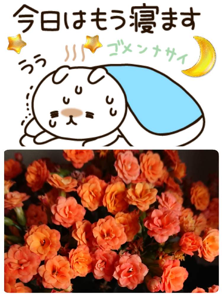 小さな庭の画像 by 苺さん | 小さな庭とプランターとプランター植えとGSでお買い物とおうち園芸