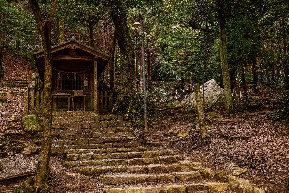お出かけ先の画像 by ひろさんさん | お出かけ先と白髭神社