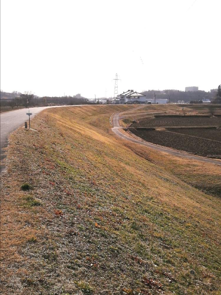 お出かけ先の画像 by 風の駅さん | お出かけ先と農業スパイク(長靴)撮影とFinepix S2500HD撮影と土曜の土手の日とぶらり電動チャリと単色伯爵