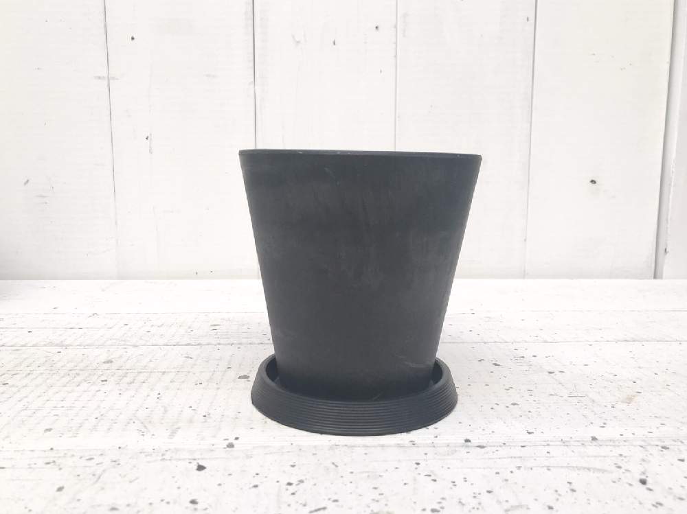 の画像 by CLUTCH FURNITUREさん | 多肉植物と黒プラ鉢と男前プランツとアガベ AGAVEと観葉植物と植物のある暮らしと男前植物と黒プラ鉢ある暮らしと植え替えシーズン到来!と黒プラ鉢ある生活と多肉植物のある暮らしと焼き物と植え替えと塊根植物と神戸とアガベ属
