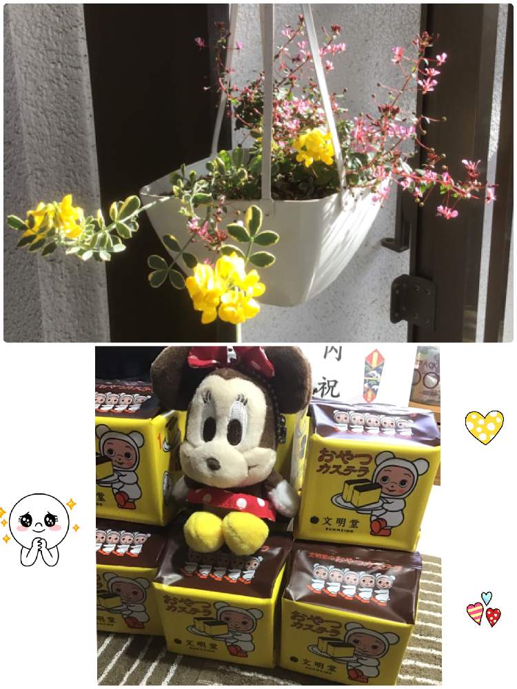 小さな庭の画像 by うたちゃんさん | 小さな庭とGS映えとGS日和と内祝いの品と初ひな祭りと吊り鉢とマスコット達