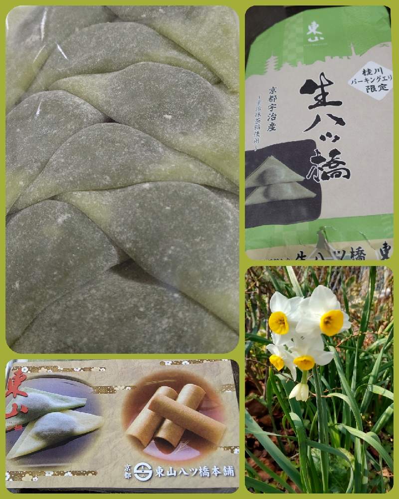 部屋の画像 by 珊瑚さん | 部屋とニホンスイセンと兵庫県と医療・介護の皆様に感謝とコロナに負けるな!と神戸垂水と医療現場の人々に感謝と日本水仙の花