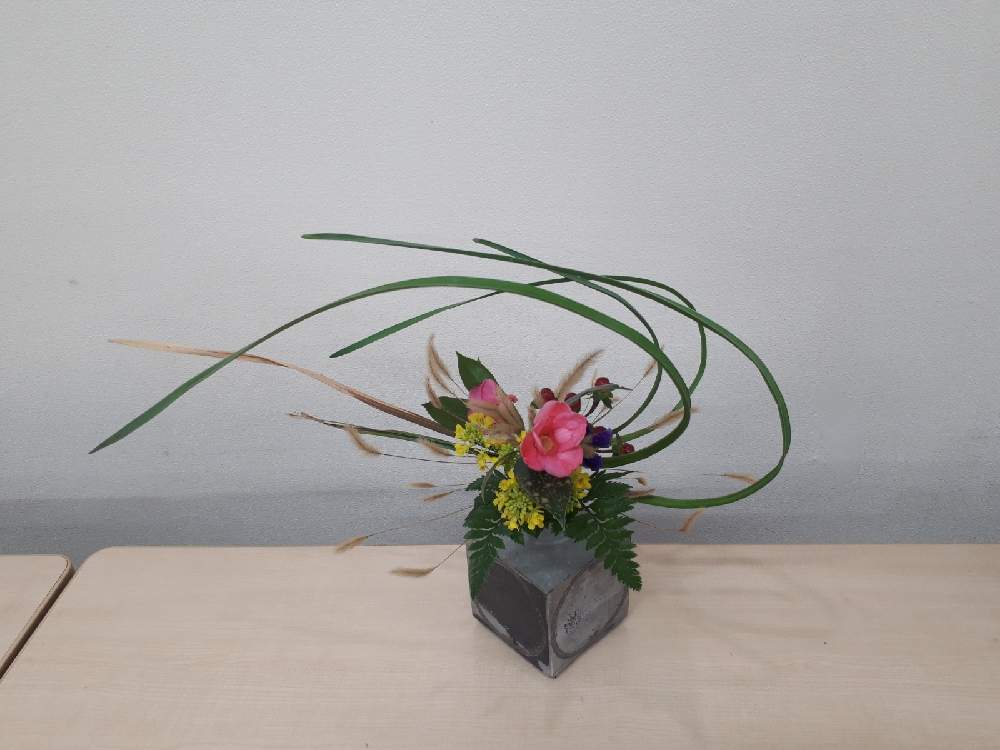 部屋の画像 by さとママさん | 部屋とからしなの花とわびすけとボタニカルアレンジと 水仙と池坊とアレンジ花と自由花とへピリカムと花のある暮らしと生け花