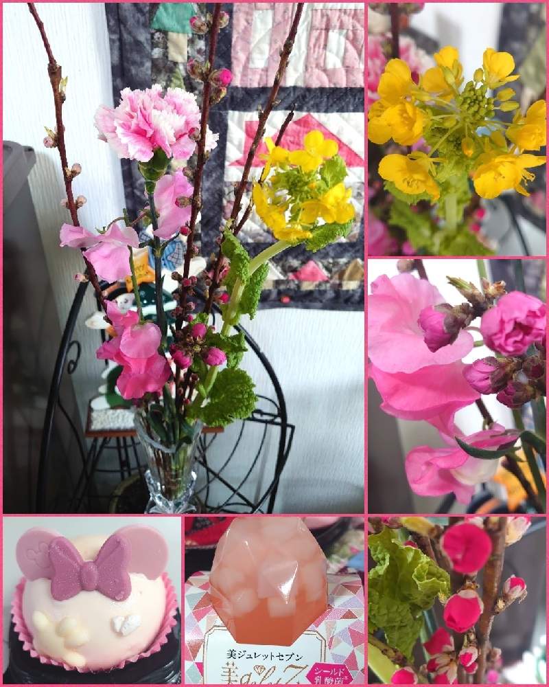 玄関の画像 by ひいやんさん | 玄関と菜の花♡と桃の花♡とおうち園芸とスイートピーさん