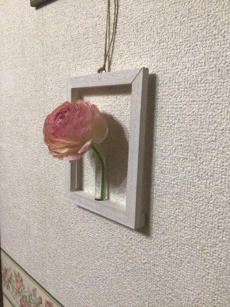 部屋の画像 by ダッフィさん | 部屋とラナンキュラスと100円ショップ