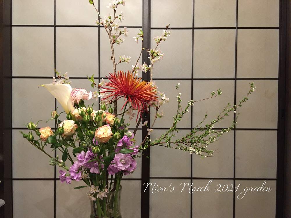 部屋の画像 by misaさん | 部屋とゆきやなぎとHTCと植物のある暮らしと千葉県と薔薇愛同盟とバラのある暮らしとGSのみなさんに感謝♡とおうち園芸と頑張れ地球‼️と植中毒とバラと夢CLUBと❤️いいね、ありがとうと フラワーアレンジと無農薬といけばなと花のある暮らしとバラ・ミニバラと切り花と生け花と頑張れ❗️日本