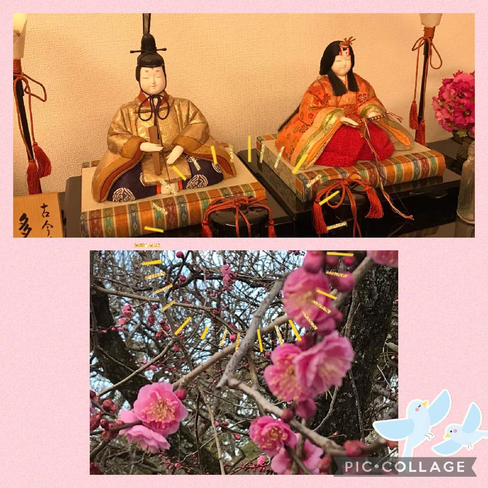 部屋の画像 by anneさん | 部屋とお雛様とひな祭りと紅梅の花