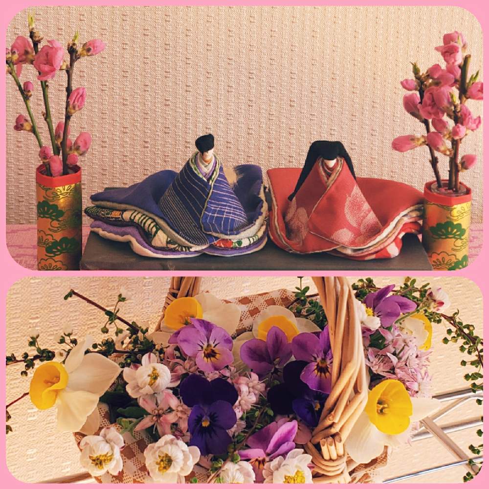 部屋の画像 by こたさん | 部屋とうめとありがとう♡と小さな幸せと森のおひな祭り