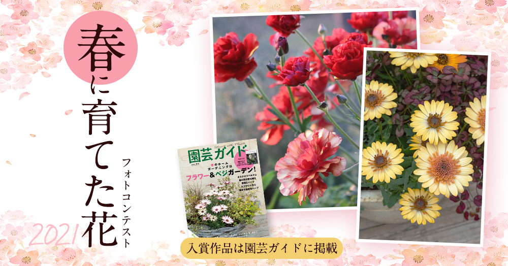入賞作品は園芸ガイドに掲載！『 春に育てた花 』フォトコンテスト
