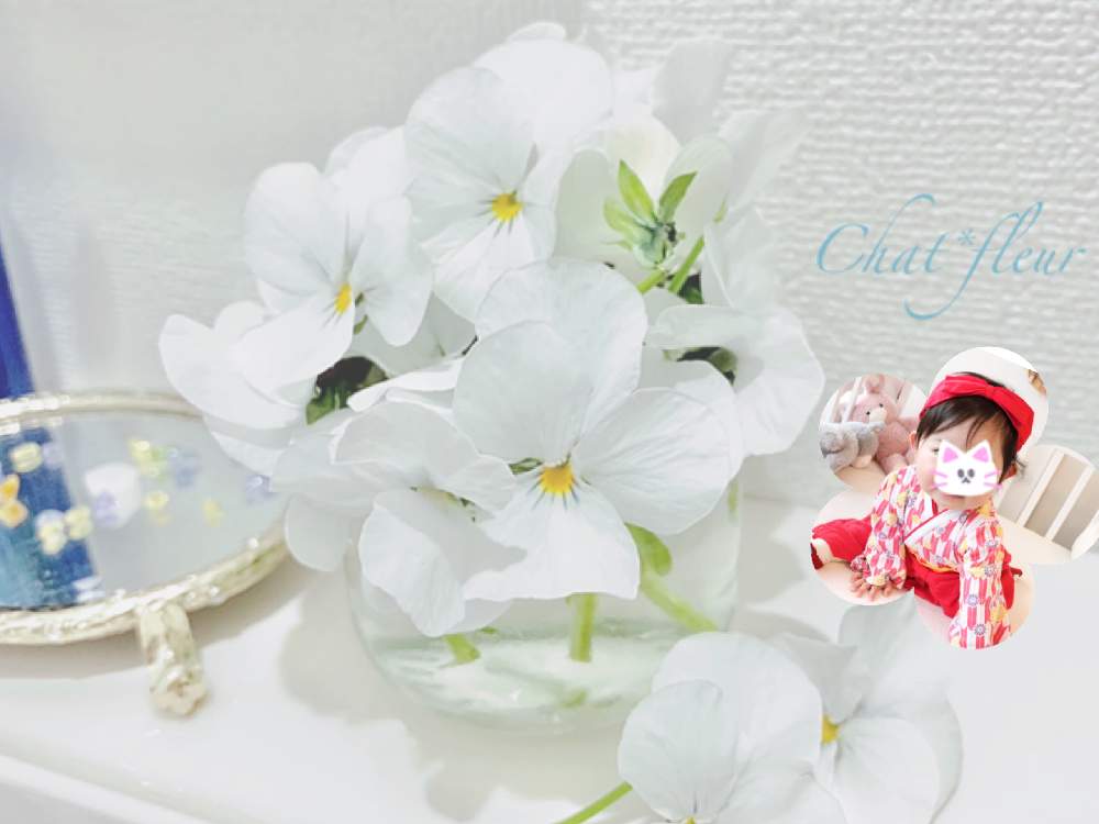 バス/トイレの画像 by chat*fleurさん | バス/トイレとシャビーとグリーンのある暮らしとありがとう♡とベランダガーデニングとナチュラルガーデンと植中毒とナチュラルスタイルと花のある暮らしとやっぱり花が好き♡と大好きビオラ