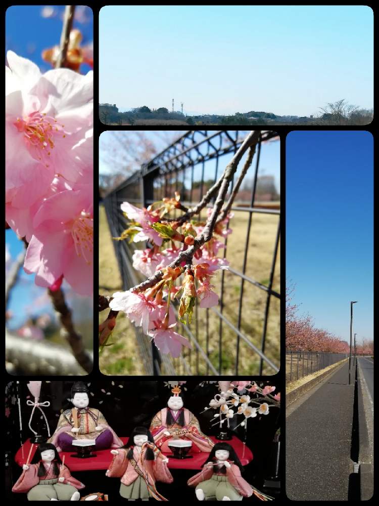 お出かけ先の画像 by ゆんさん | お出かけ先とゆん短歌と短歌とお散歩道とゆん豆俳句と季節