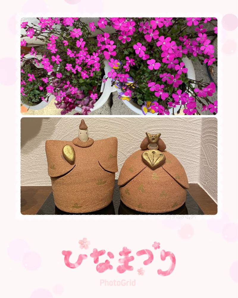 小さな庭の画像 by ほったさんさん | 小さな庭とシレネとお雛様と#癒しとおうち園芸と#なんちゃってガーデニング