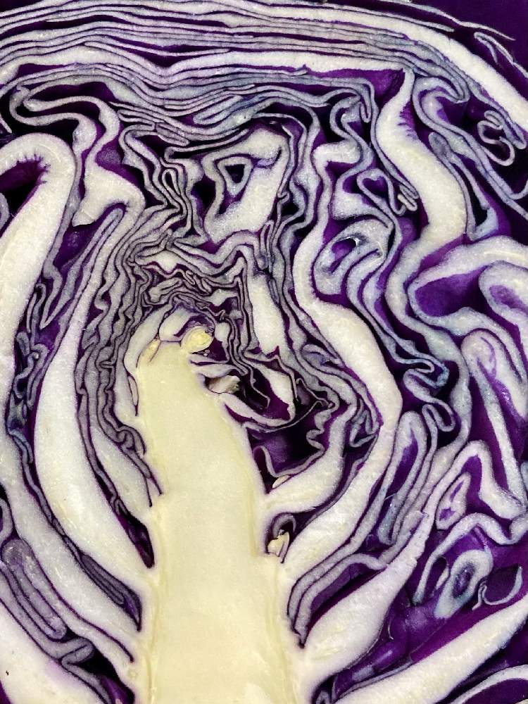 キッチンの画像 by トラちゃんさん | キッチン