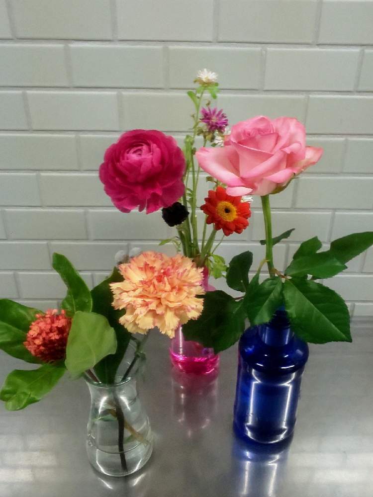 デスクの画像 by y312fさん | デスクとバラとバラ プリンセスメグと薔薇 プリンセスメグとイイハナプランと花の日チームとハナノヒとフラワークとコロナに負けるな!と日比谷花壇のサブスク