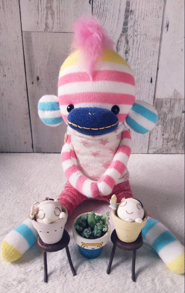 部屋の画像 by しのんさん | 部屋と広島出張所と多肉植物とひな祭りとMOCさんの豆鉢とHTCと休日とHTC No.16とかわいい♡とひゃっほ~!とお気に入り♡と富山支部と大好きと鉢コロちゃんとソクモン祭りとハピコロちゃんとちまちま寄せとplumrinkoちゃんのソクモン