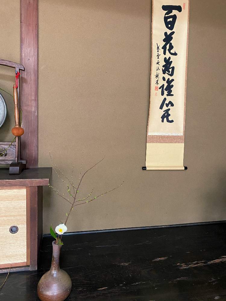 お出かけ先の画像 by SKYママさん | お出かけ先とユキヤナギとワビスケ 椿とシロワビスケと金曜日の蕾たちと花のある暮らしと椿 ツバキと日常に感謝とお花好き