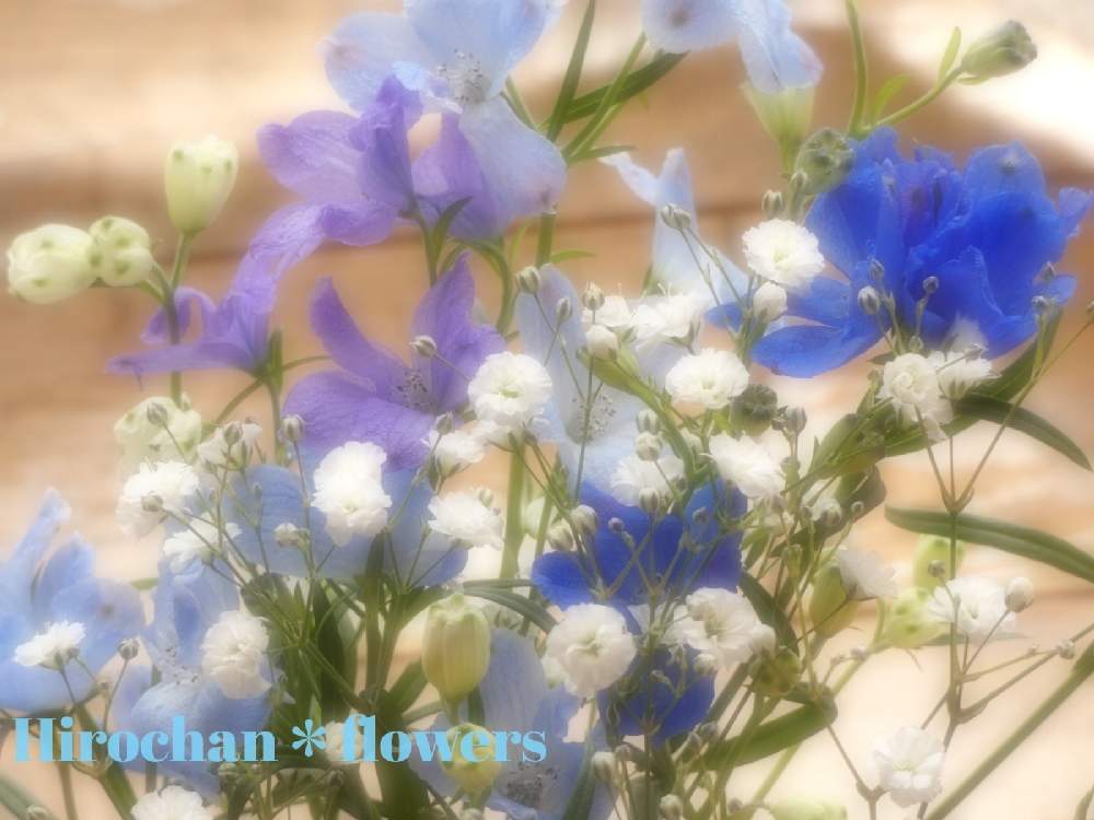 部屋の画像 by Hirochan* flowersさん | 部屋と医療・介護の皆様に感謝といつもありがとう♡と青い春の花マニアと青い小さな花マニアと花瓶と少しずつ春♪とコロナに負けるな!と白い小さなお花とふんわり優しい色とチーム・ブルーとお花好きの人と繋がりたいと青い花大好きとチーム・ブルーNo.102とふんわり