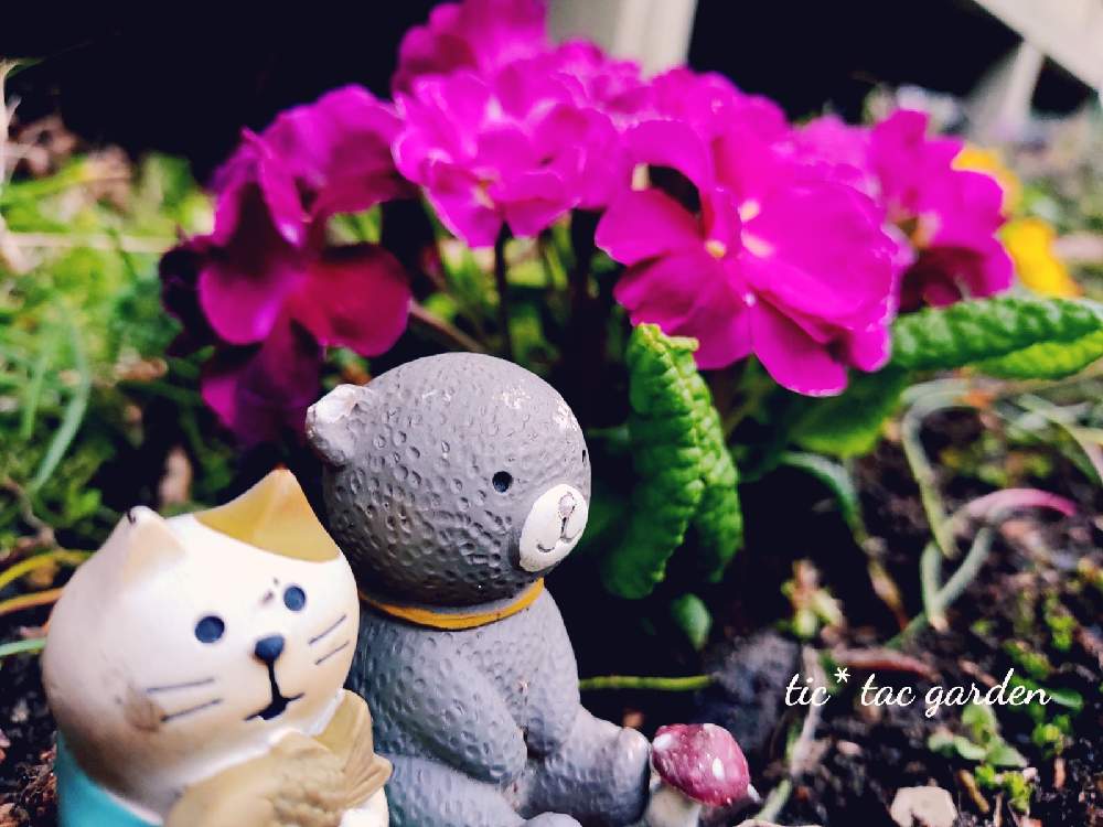 広い庭の画像 by tic_tac_gardenさん | 広い庭と軒下と花のある暮らしとmy gardenとtic* tac garden